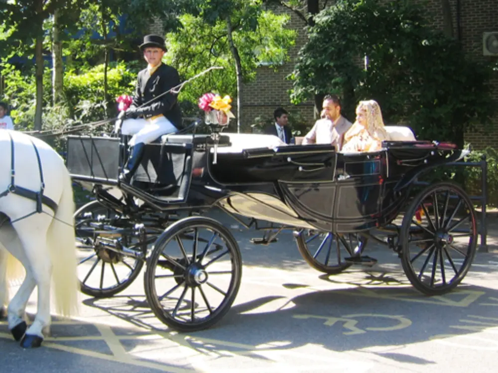 Horse-drawn black wedding carriage with white horses carrying Asian bride and groom