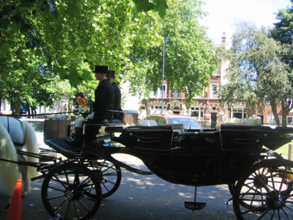 Black horse-drawn wedding carriage with coachmen in top hats parked by tree-lined road