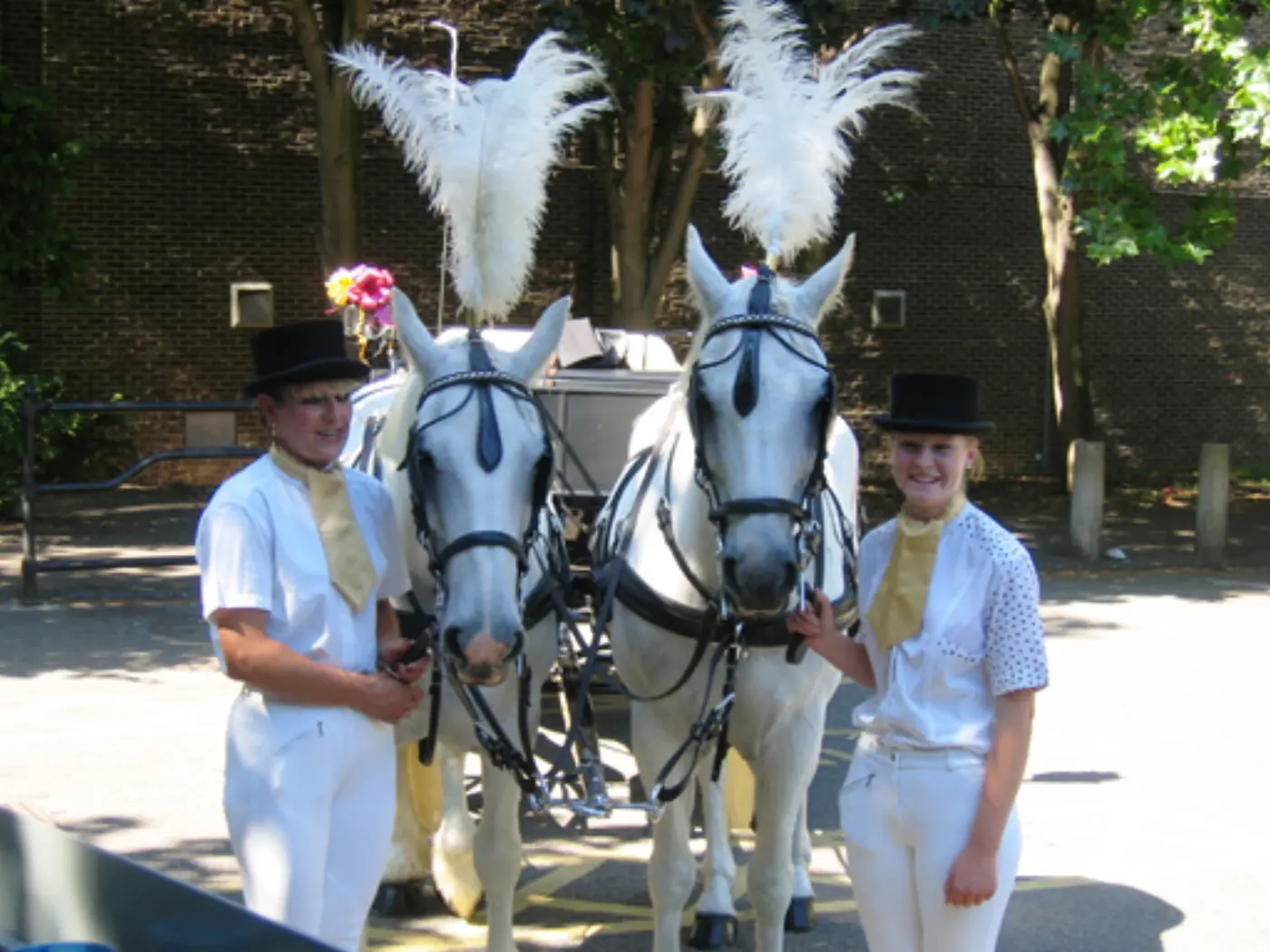 Registry office wedding cars